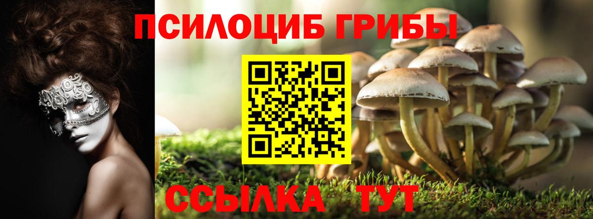 Галлюциногенные грибы GOLDEN TEACHER  Псилоцибиновые грибы MAGIC MUSHROOMS  Кстово  Вход с VPN 